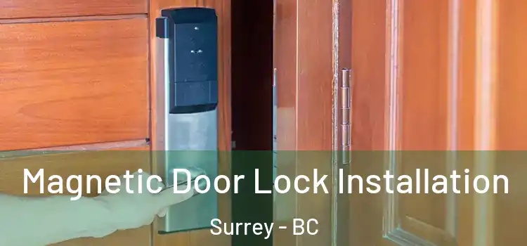  Magnetic Door Lock Installation Surrey - BC