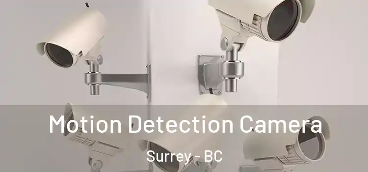 Motion Detection Camera Surrey - BC